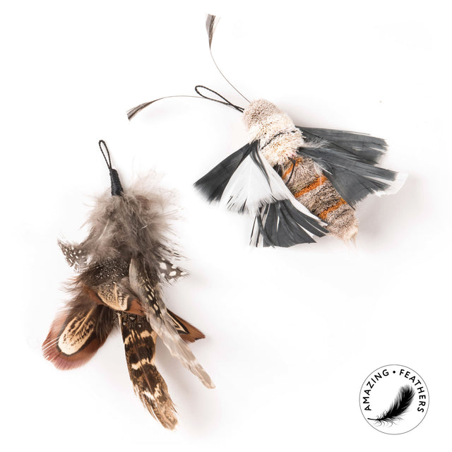 Profeline - Cat Toy Special Edition in BROWN - Attachements