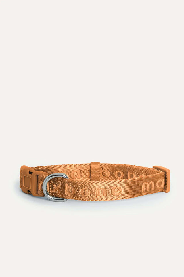 Max Bone Dog Signature Collar