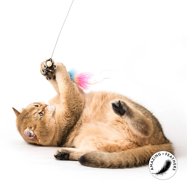 Profeline - Cat Toy Special Edition in BLUE - Refill