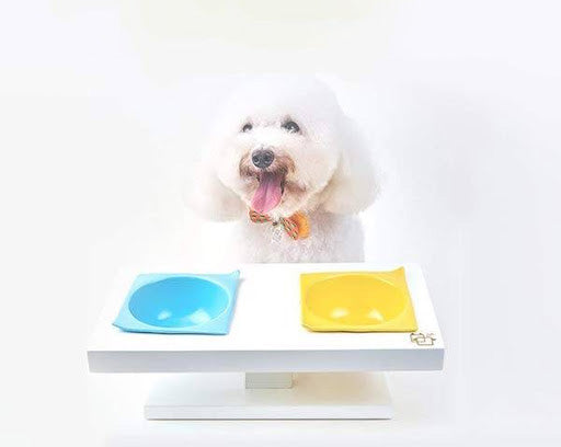 ViviPet Ceramic Sassy Bowl