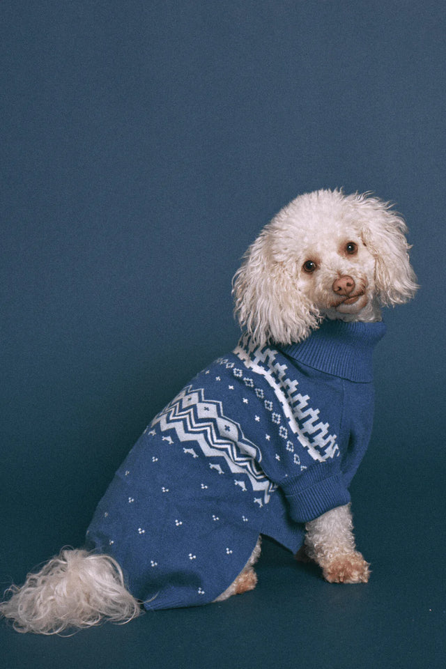 Max Bone Winter Nordic Knit Dog Jumper