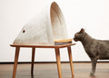 A Quick Guide to Pet Furniture