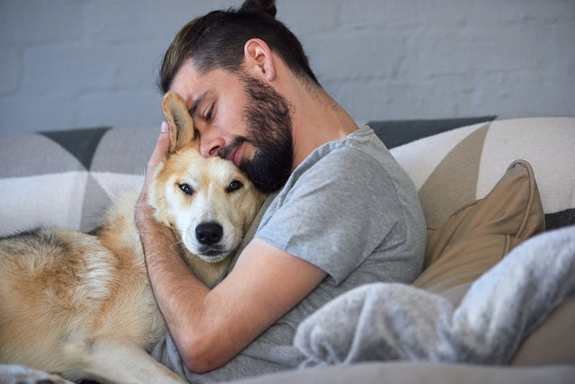 Are dogs really a man's best friend?