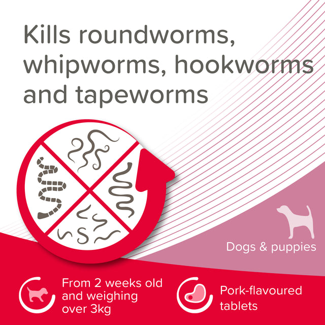 Beaphar WORMclear Worming Tablets for Dogs