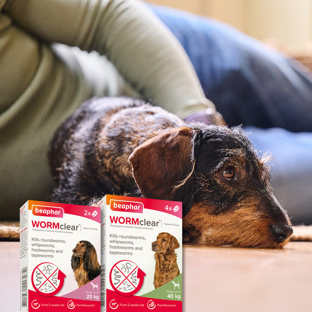 Beaphar WORMclear Worming Tablets for Dogs
