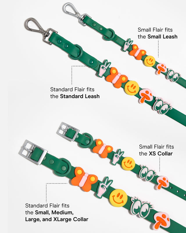 Wild One Flair Dog Collar and Leash Charm Pack Accessories