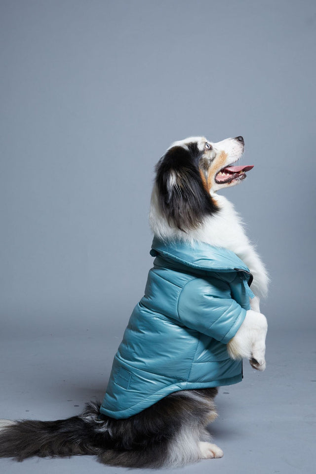 Max Bone Dog Glossy Puffer Jacket