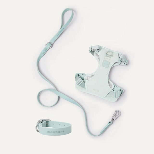 Max Bone Double Panel Hazel Harness & Collar Dog Walk Set