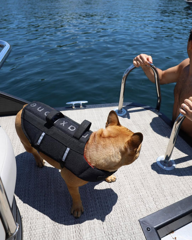 Max Bone Life Jacket for Dogs
