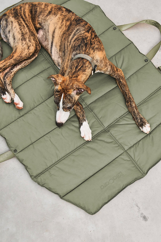 MiaCara Strada Dog Travel Bed