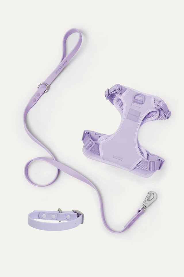 Max Bone Double Panel Hazel Harness & Collar Dog Walk Set