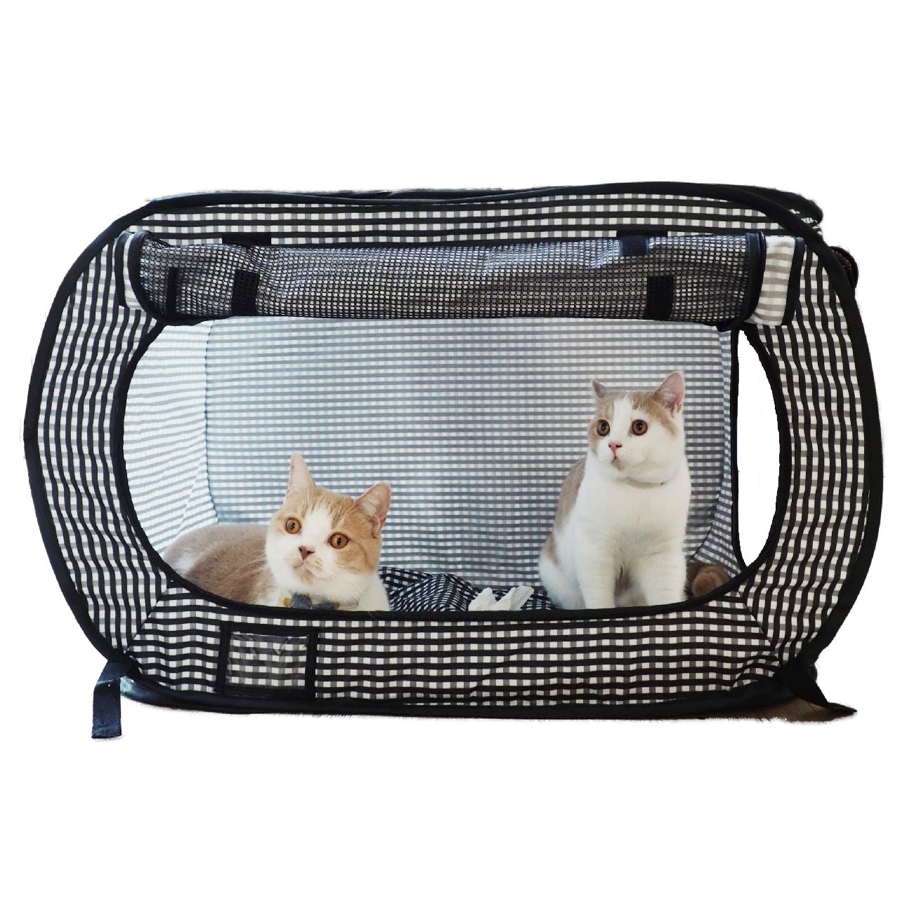 Cat playpen 2024