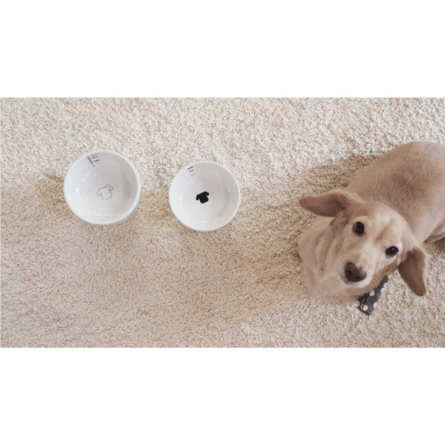 Necoichi Raised Dog Food Bowl