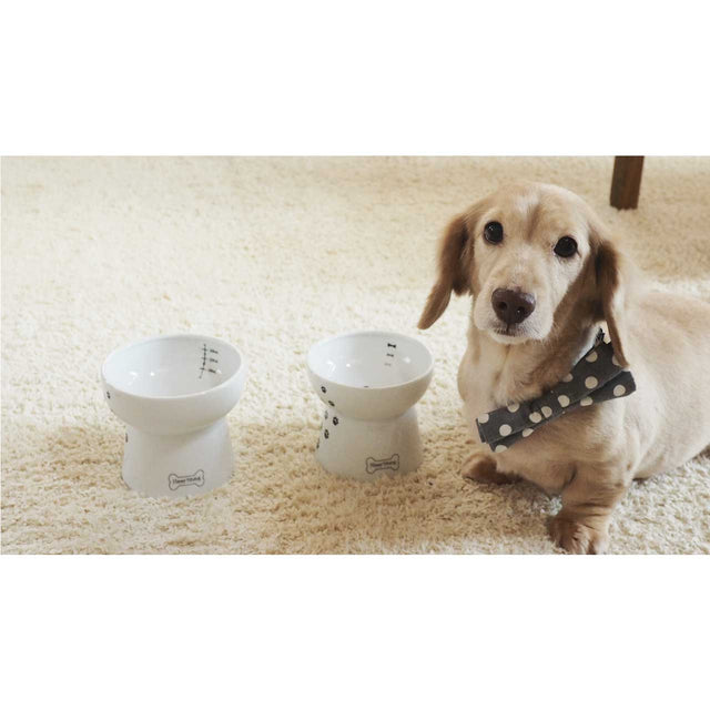 Necoichi Raised Dog Food Bowl