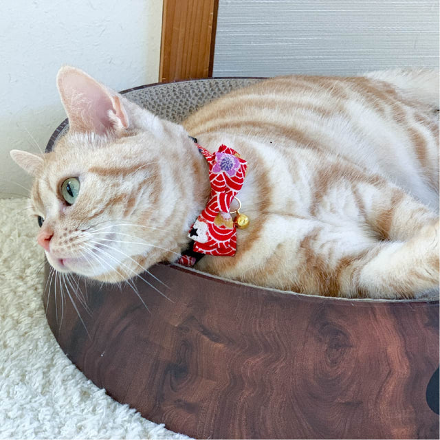 Necoichi Matsuri Bow Tie Cat Collar Red