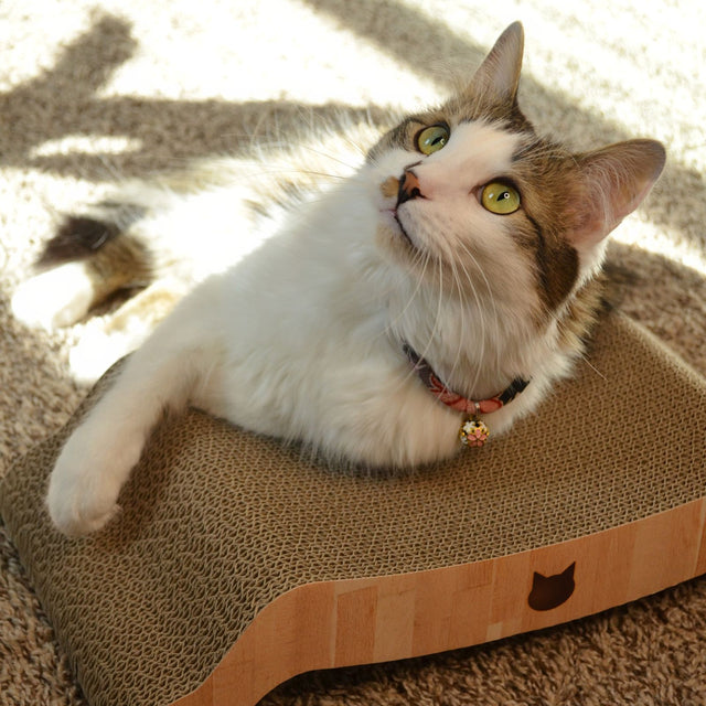 Necoichi Premium Comfort Reversible Cat Bed