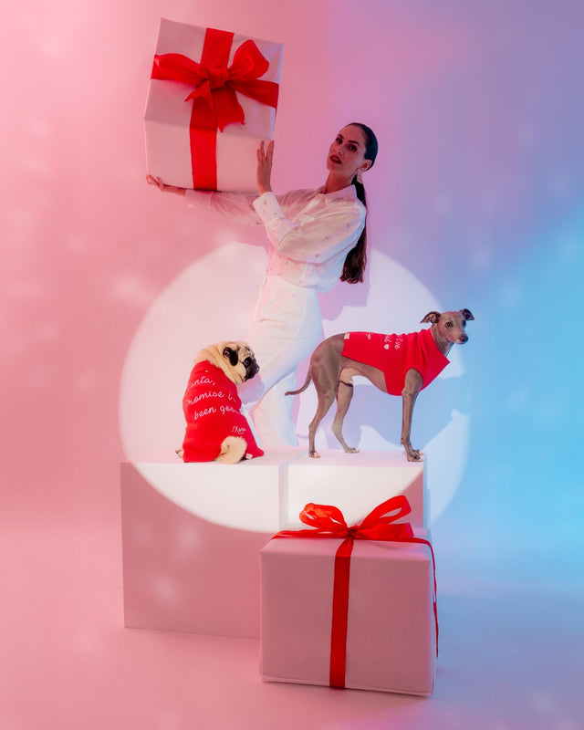 Max Bone Promise Good Christmas Dog Jumper