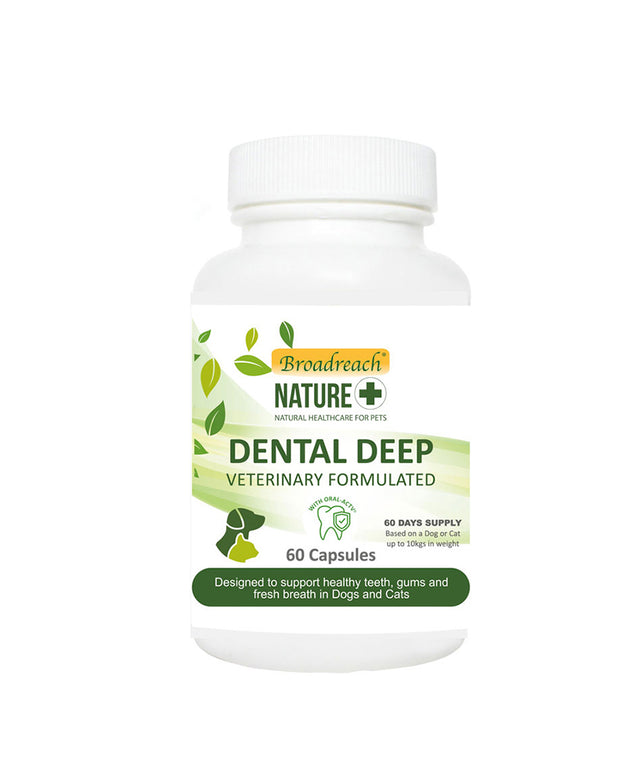 Broadreach Nature Dental Deep for Dogs, Cats, Puppies and Kittens