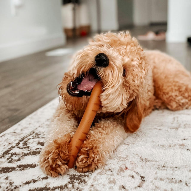 Nylabone Roast Chicken Extreme Baguette Large