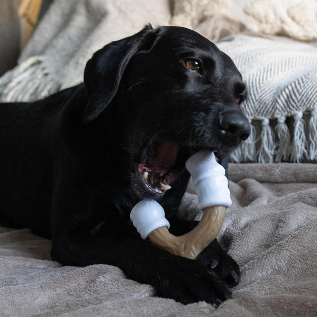 Nylabone Toasted Marshmallow & Peanut Butter Strong Marshmallow Stick