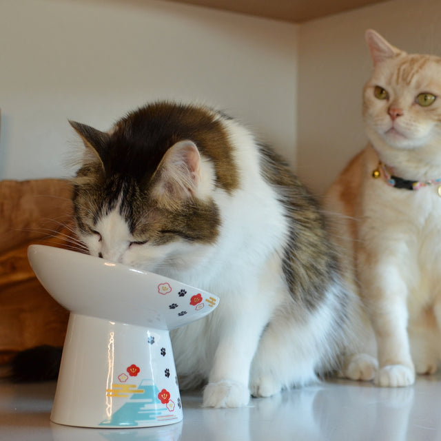 Necoichi Tilted Stress Free Raised Cat Food Bowl (Fuji Limited Edition)