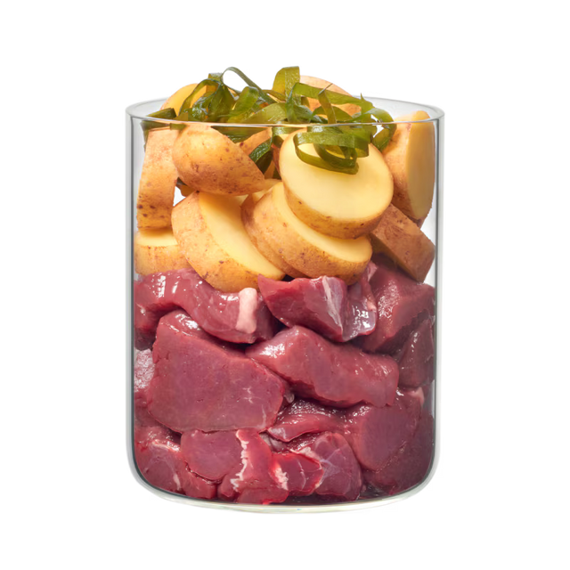 Terra Canis Hypoallergenic Dog Wet Food Antelope