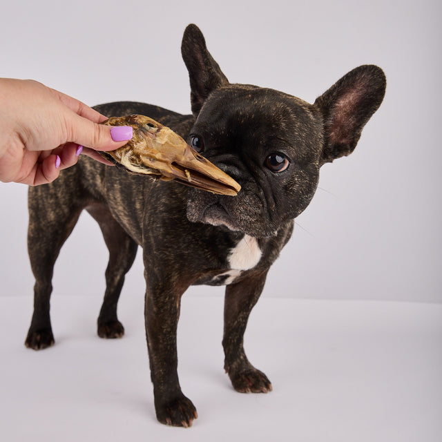 Laila and Me Naturally Dehydrated Duck Head 90g