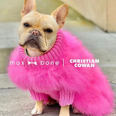 Christian Cowan X Max Bone Dog Jumper - Hot Pink