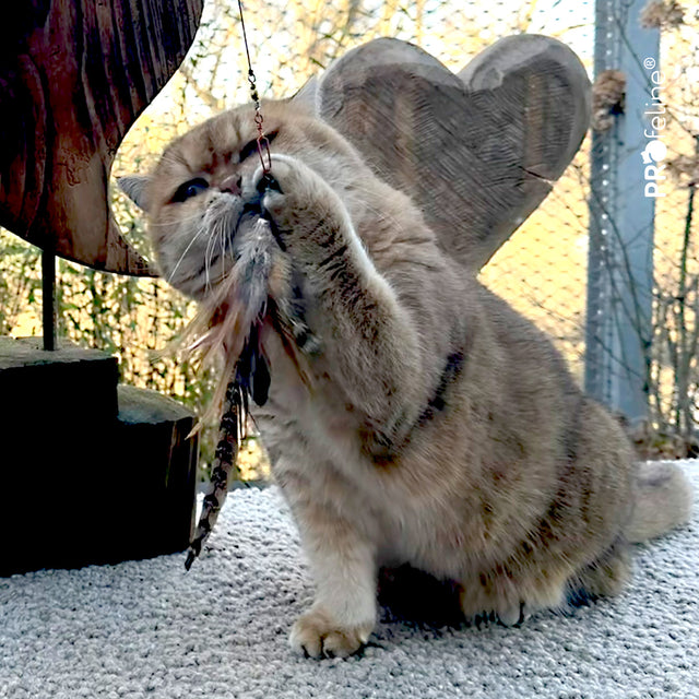 Profeline - Cat Toy Wild Tiger Refill