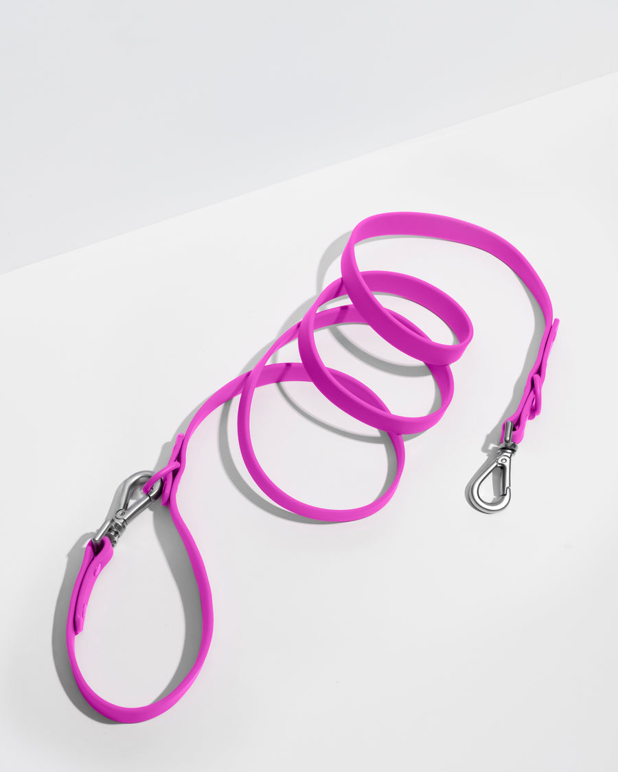 Wild One Dog Leash -Orchid Limited Edition – BYMiT