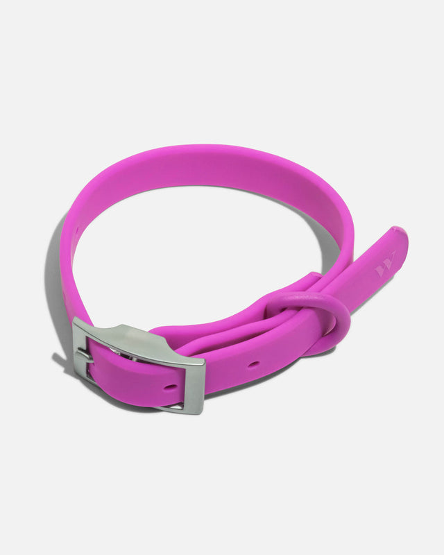 Wild One Dog Collar - Orchid ✨ Limited Edition