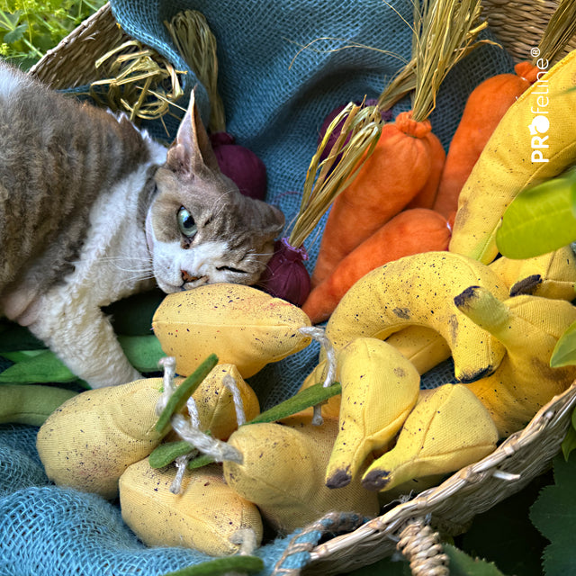 Profeline - DreamCat CatNip Toy Pear