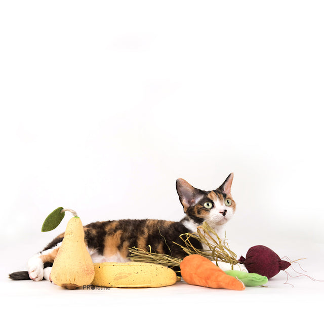 Profeline - DreamCat CatNip Toy Pear