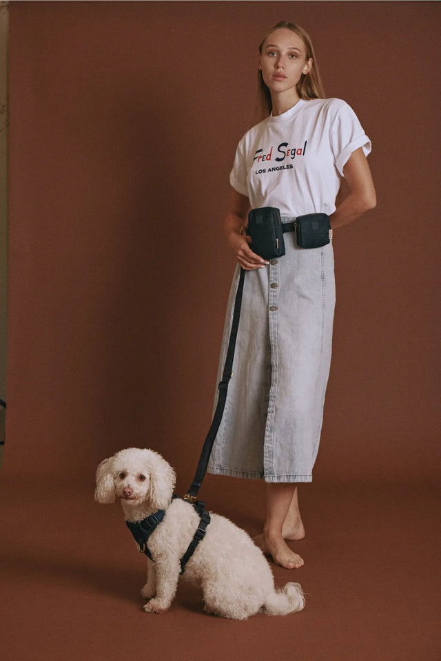 Fred Segal X Maxbone GO! With Ease Bundle For Dogs - S