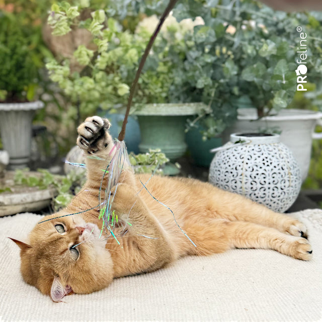 Profeline - Cat Teaser Glitzy Glitter