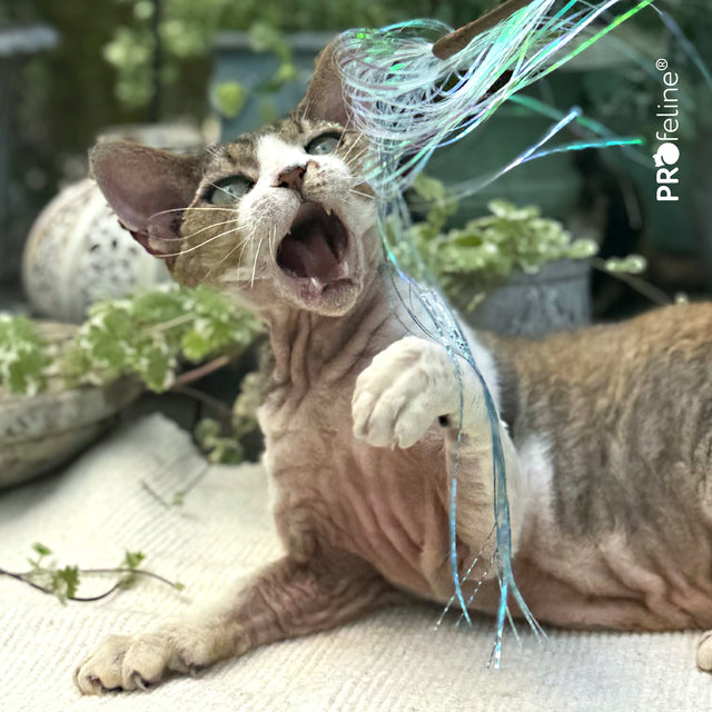 Profeline - Cat Teaser Glitzy Glitter