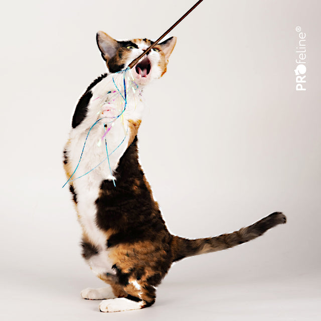 Profeline - Cat Teaser Glitzy Glitter