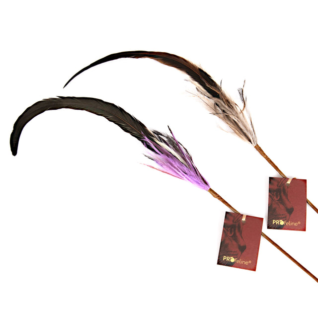 Profeline - Whisper Rooster Cat Teaser