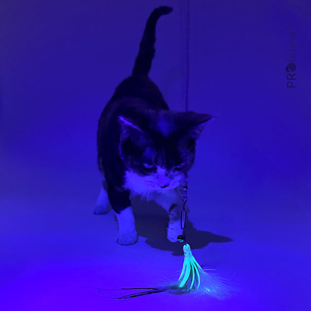 Profeline - Cat Toy Glowing Octopus 2er Pack Refill