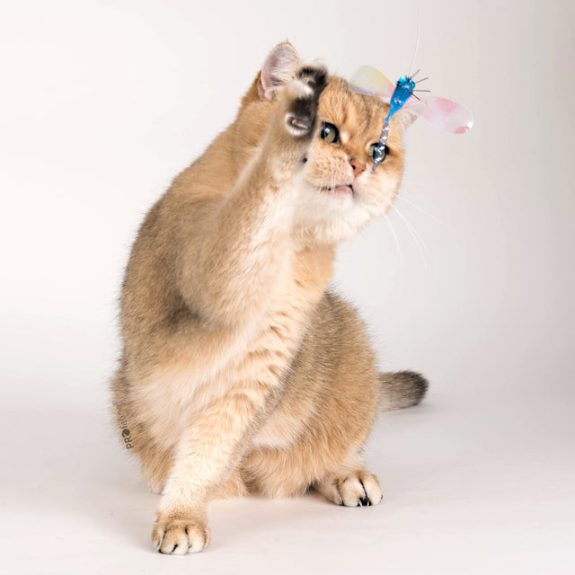 Profeline - Cat Toy Shiny Flutters Refill