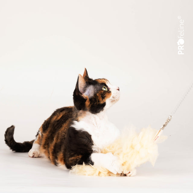 Profeline - Cat Toy Spiral Coil Cat Fishing Rod