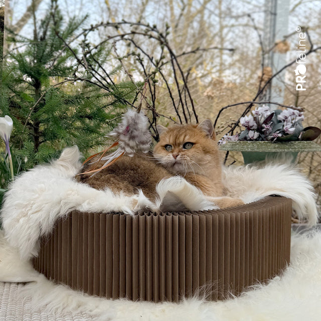 Profeline - Cat Toy Tickle Charms Refill