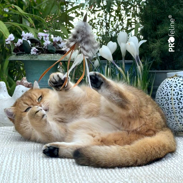 Profeline - Cat Toy Tickle Charms Refill