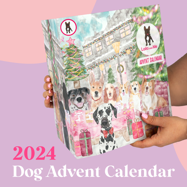 Laila and Me Dog Advert Calendar 2024