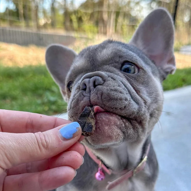 Laila and Me Naturally Dehydrated Lamb Liver Treats