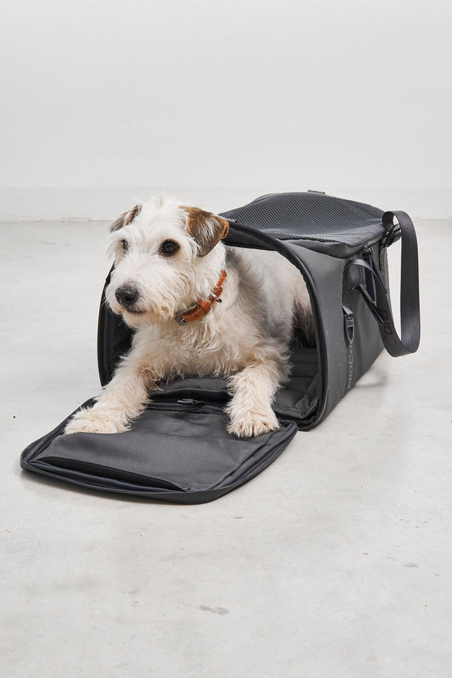 MiaCara Volata Travel Carrier for dogs and cats