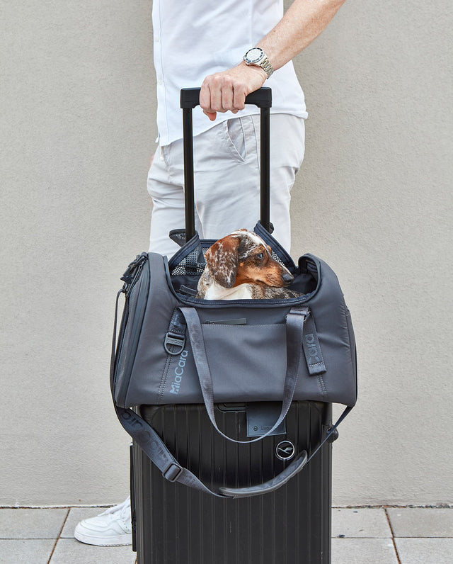 MiaCara Volata Travel Carrier for dogs and cats