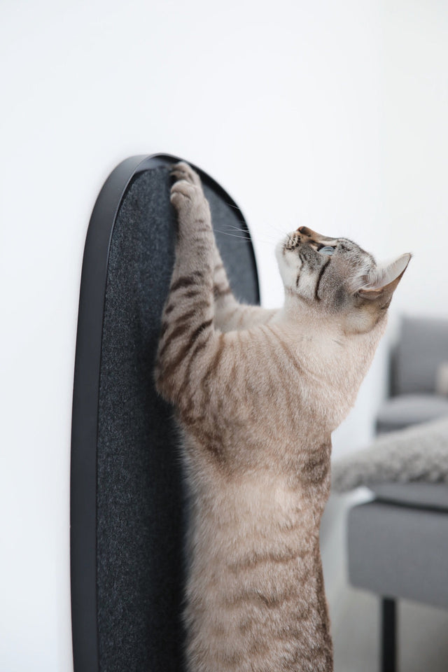 MiaCara Cat Scratching Panel