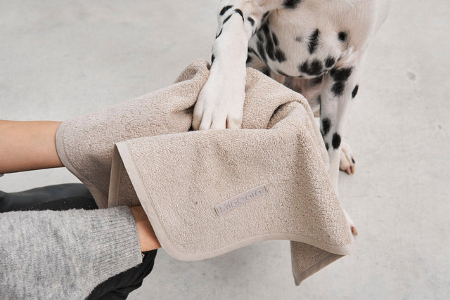 MiaCara Secco Terry Dog Dry Towel