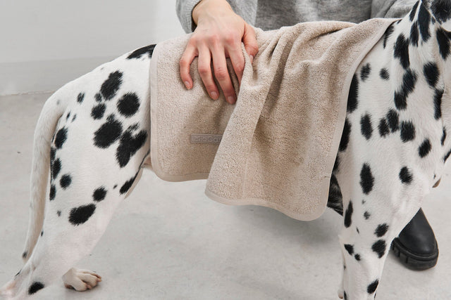 MiaCara Secco Terry Dog Dry Towel